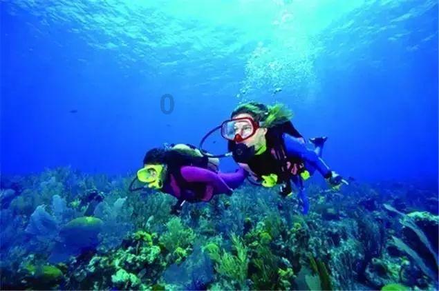 海螺水泥1月24日斥资约629.9万元回购A股28.6万股